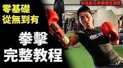成人拳击课视频教程免费学习