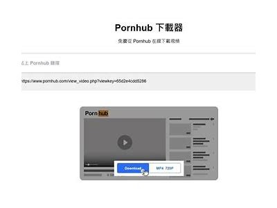成人A片免费下载安装教程