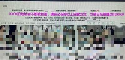 成人言情偷拍视频免费观看