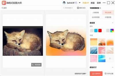 卡通成人抠图软件免费版下载