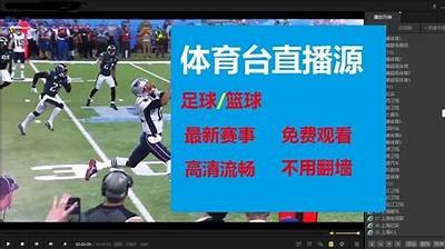 成人篮球教学推荐视频免费观看