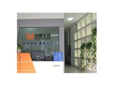 蜜桃成人视频免费观看网址
