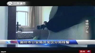 成人裸体视频免费观看